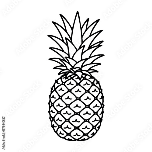 Simple pineapple outline with detailed leaves and texture. Vector hand-drawn doodle illustration