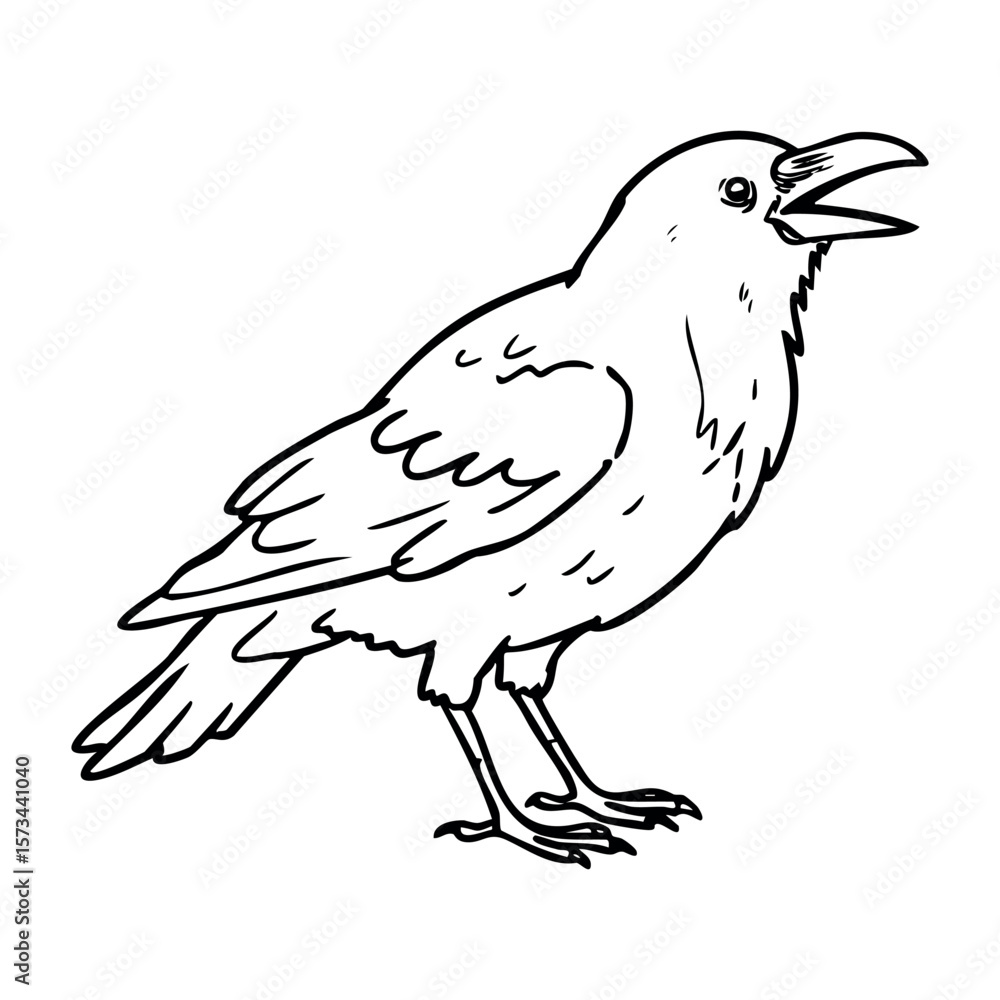 Fototapeta premium Detailed outline of a crow with open beak in profile view. Vector hand-drawn doodle illustration