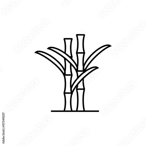 bamboo