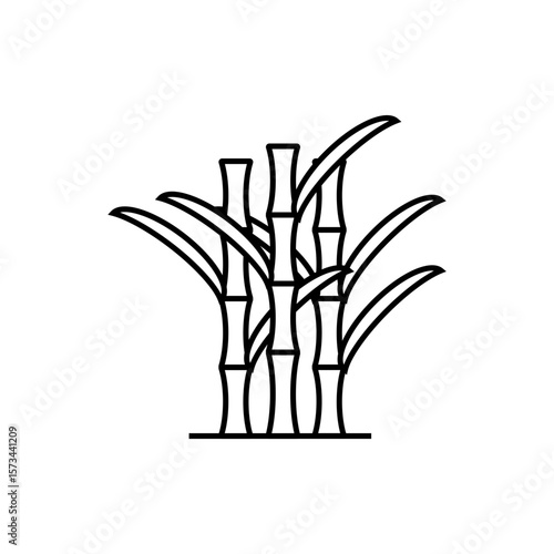 bamboo