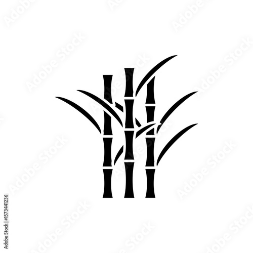 bamboo