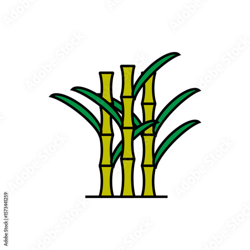 bamboo