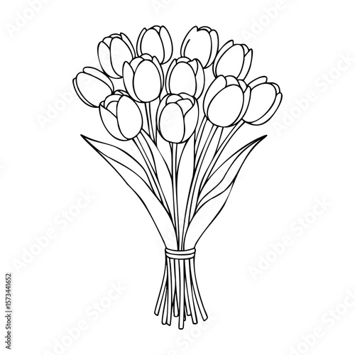 Outline drawing of tulip bouquet for coloring. Vector hand-drawn doodle illustration