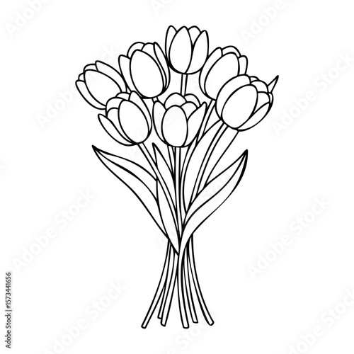 Elegant tulip bouquet line art illustration for coloring and design. Vector hand-drawn doodle illustration