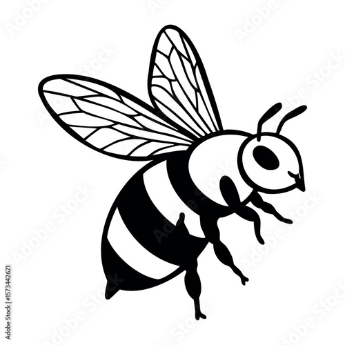 Black and white honey bee drawing with detailed wings. Vector hand-drawn doodle illustration