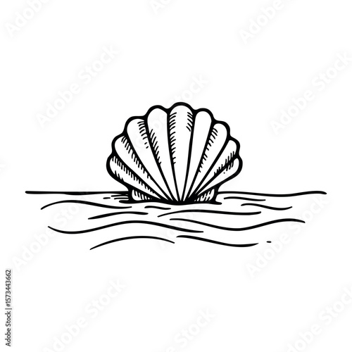 Detailed hand-drawn seashell partially submerged in water. Vector hand-drawn doodle illustration