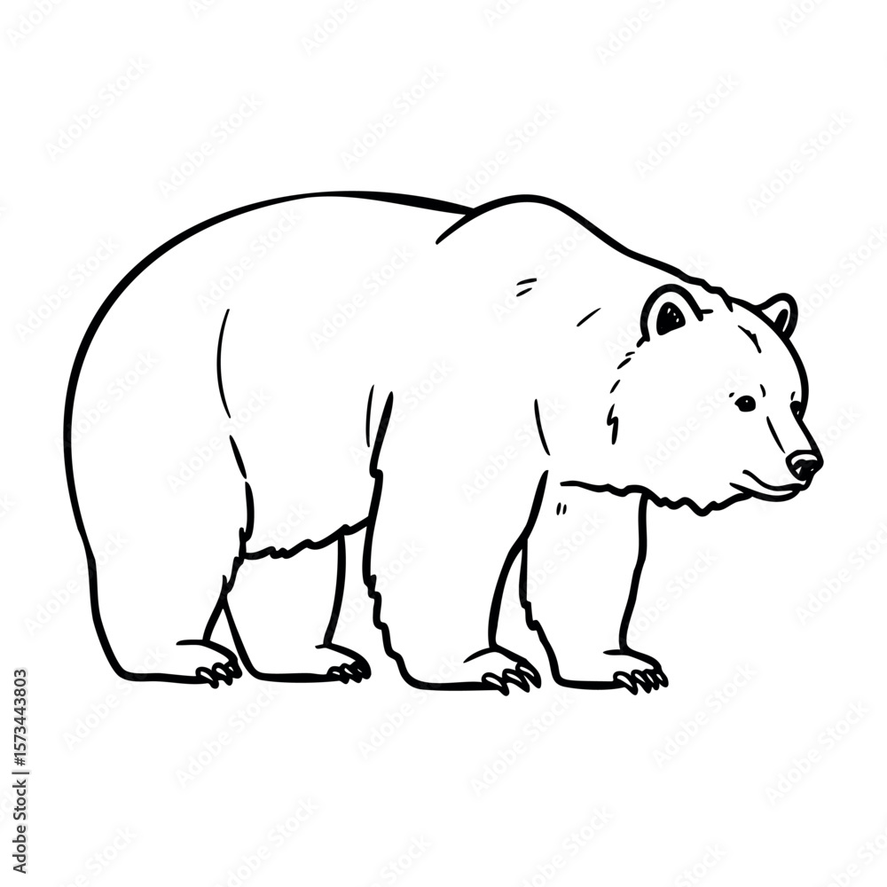 Fototapeta premium Outline illustration of a bear standing sideways. Vector hand-drawn doodle illustration