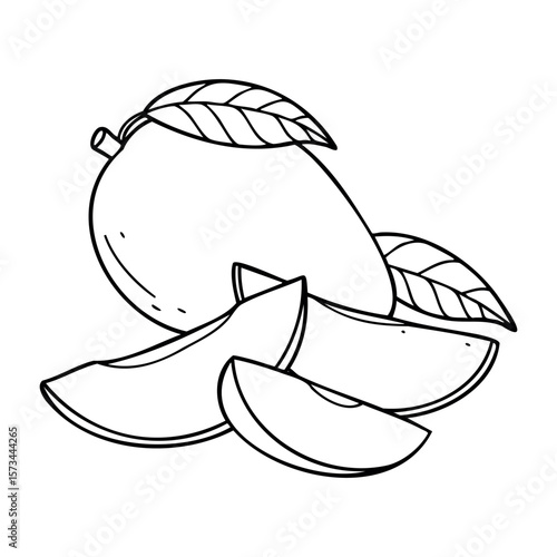 Outline drawing of whole and sliced mango with leaves. Vector hand-drawn doodle illustration