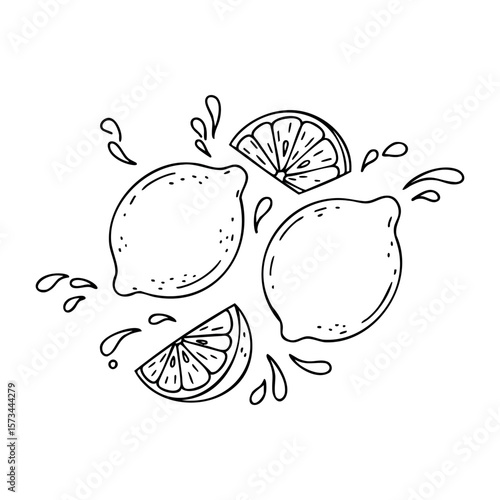 Illustration of whole and sliced lemons with splashing juices. Vector hand-drawn doodle illustration