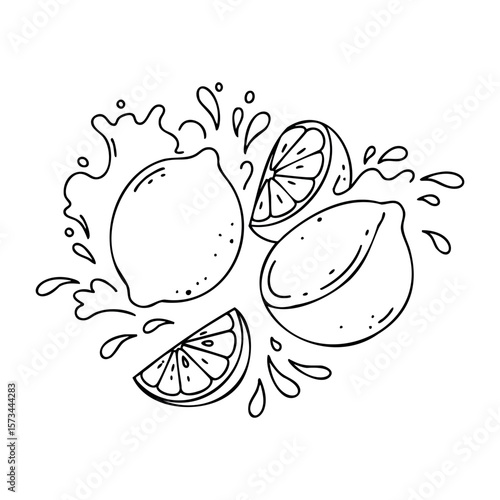 Hand-drawn lemons and slices with juice splash. Vector hand-drawn doodle illustration