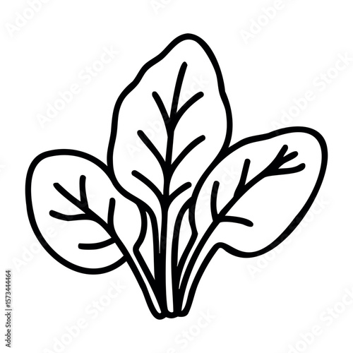 Simple hand-drawn spinach illustration with three leaves. Vector hand-drawn doodle illustration