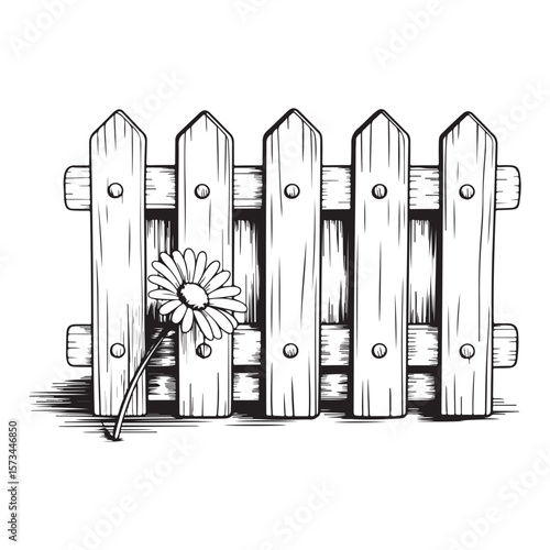 black and white fence with white background