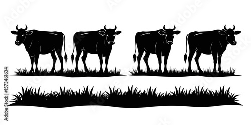 Four black cattle silhouettes standing in grass isolated on white background silhouette