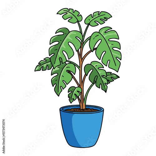 Lush green monstera deliciosa plant in vibrant blue pot with rich soil – stock vector in colorful flat style