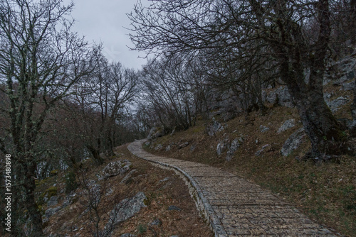 Path of cobblestone to Oxya Viewpoint of Vikos Gorge in Zagoria region at Pindus Mountains on dark winter day with atmospheric mood, Epirus, Greece