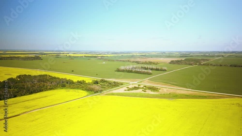 Canola and wheat field farm flyover