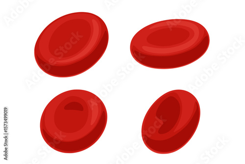 3D Red Blood Cells Vector Set, Erythrocyte Microscopic Illustration, Isolated Hematology Medical Concept, Human Blood Cell Anatomy, Transparent Background, Biomedical Science Design