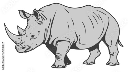 rhino isolated on white