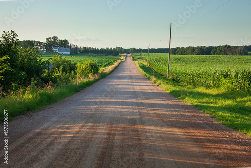 Dirt road in rural Minnesota between farm fields on a summer evening at sunset