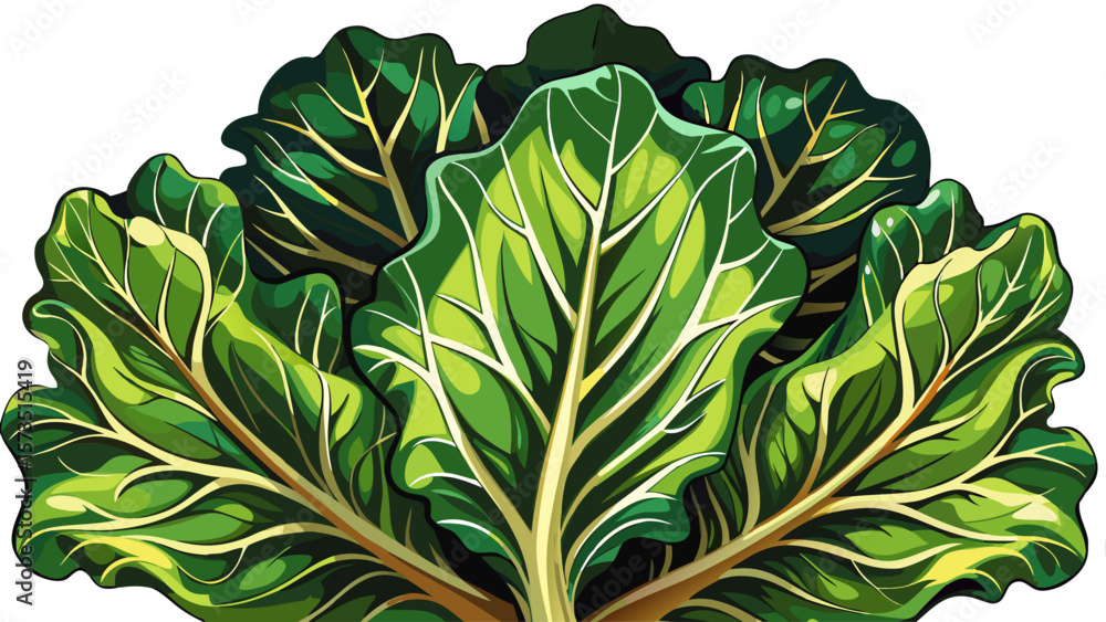 Fototapeta premium Curled organic mustard greens, dark and leafy, create a dramatic pattern on white background, with strong veins and edges highlighted by gentle shadows, ideal for gourmet or detox-style illustrations.