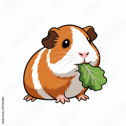 A cartoon guinea pig with orange and white fur nibbling on a green lettuce leaf