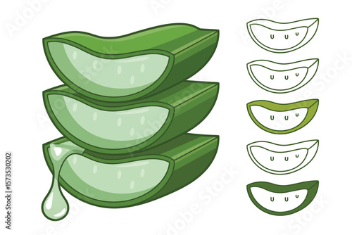 Stack of fresh aloe vera slices with a drop of gel and outline variations