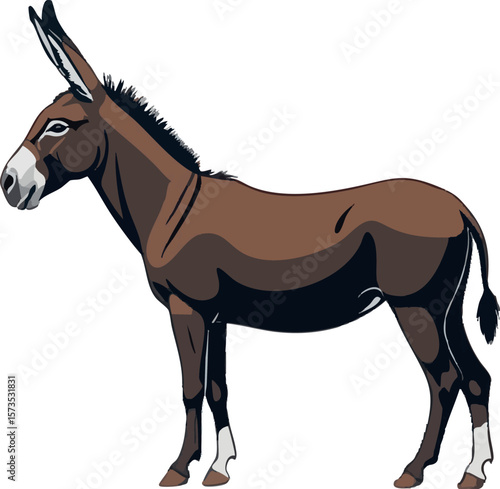 Realistic Walking Donkey Vector Illustration on White Background (Side Profile)