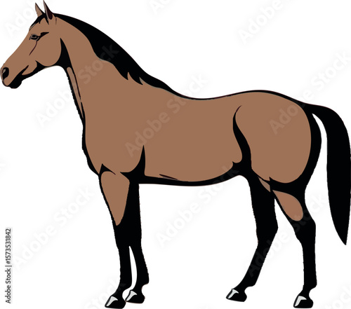 
Realistic Walking Horse Vector Illustration on White Background (Side Profile)