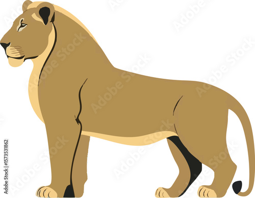 Realistic Walking Female Lion Vector Illustration on White Background (Side Profile)