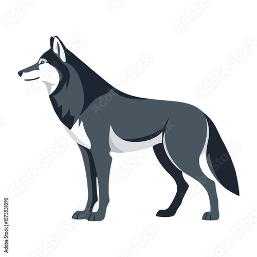 Realistic Walking Wolf Vector Illustration on White Background (Side Profile)