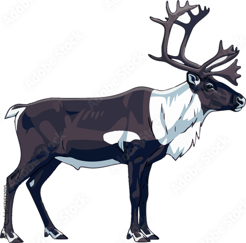 Realistic majestic vector of a caribou in full body side view on white background, 2D vector illustration