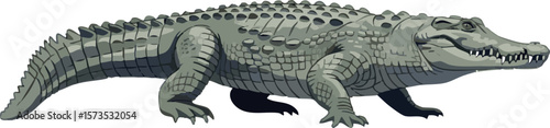 Crocodile vector in full body side view, walking pose on white background, 2D vector illustration