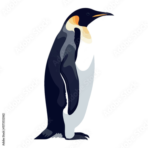 Emperor penguin standing in side view – full body vector on white background, 2D vector illustration