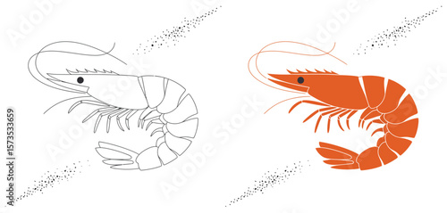 Shrimp Illustration in Color and Black and White