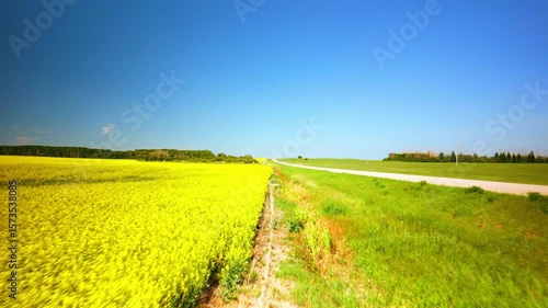 Low flyover canola field, bales and road