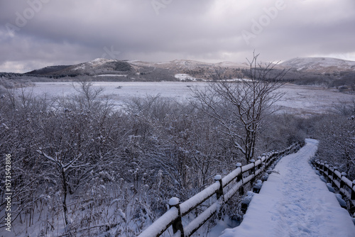Wallpaper Mural 雪に覆われた霧ヶ峰・八島湿原の静かな冬景色 / Serene Winter Scenery of Yashima Marshland in Kirigamine Covered in Snow Torontodigital.ca