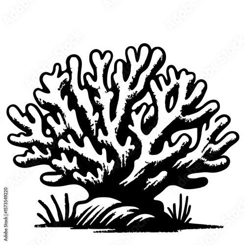 Coral reef silhouette
