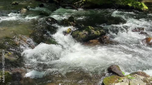 Whitewater rapids at Little River in Smoky Mountains for travel and nature use 
