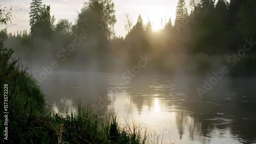 Misty River At Sunrise Through Forest Reflection On Calm Waters