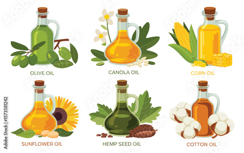 Collection of cooking oils in glass bottles with their plant sources