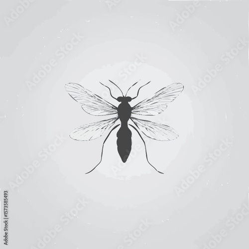 vector illustration of a mosquito