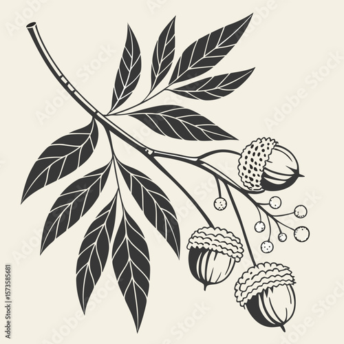 Elegant branch with acorns and leaves
