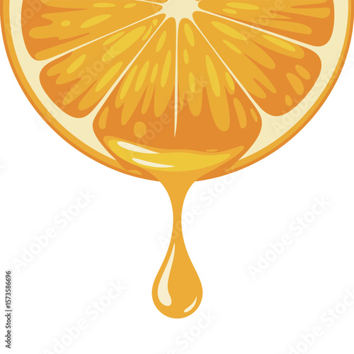 Orange Slice with Dripping Juice