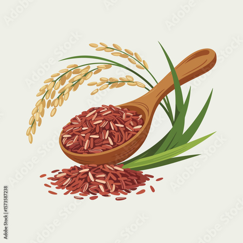 Red Rice in Wooden Spoon with Rice Plant