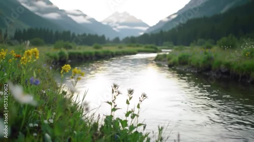 Gentle Stream Flowing Through Verdant Meadow in Mountain Valley