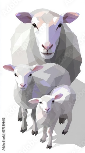 Three sheep low poly illustration