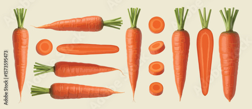 Collection of whole and sliced carrots with green tops on a light background
