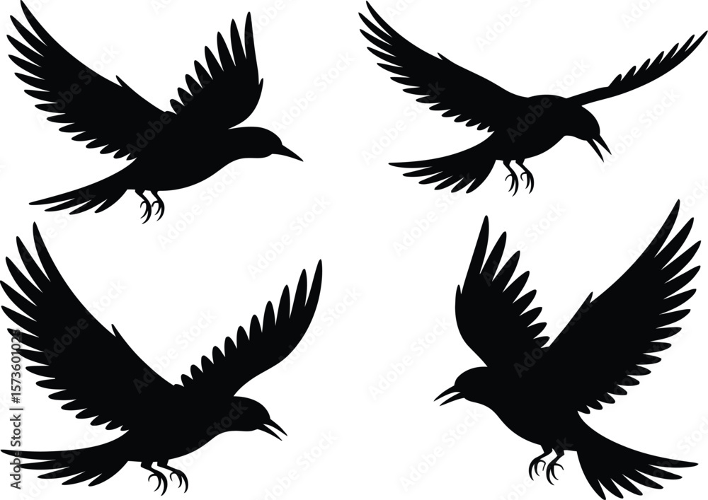 Fototapeta premium Four black silhouettes of birds in flight with wings spread wide