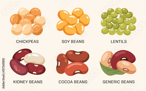 Collection of six different types of beans and legumes with labels