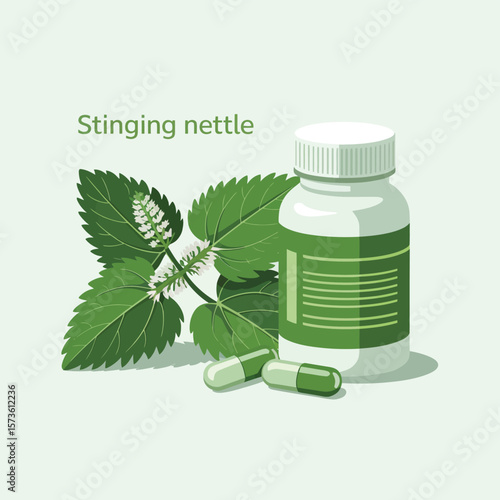 Stinging nettle plant with green capsules and bottle for herbal medicine